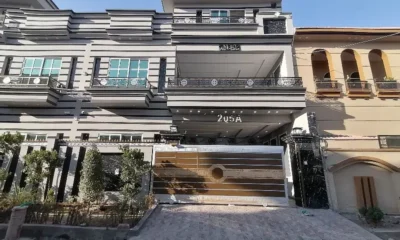 420025255-800Ă—600-1