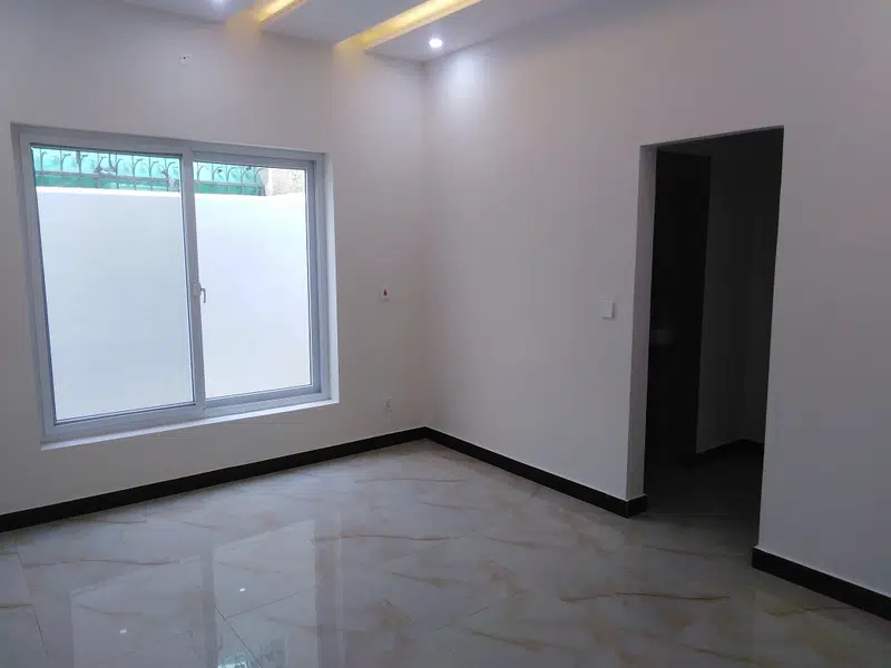 423898031-800×600-1