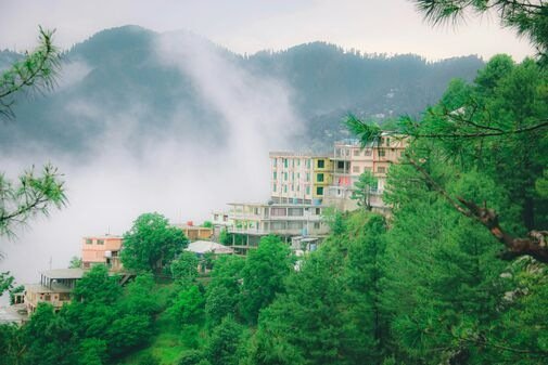 kashif-afridi-I5ZNo2gQjnE-unsplash_optimized_50